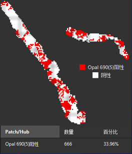 空间hub分析-B